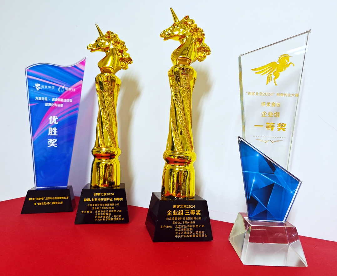 5001��˹ά��˹�Ƽ����ų��Ȼ춯EGRϵͳ��Ŀ�����ͱ���2024�������չ���ǿ����Χ �������й�2024�� ������